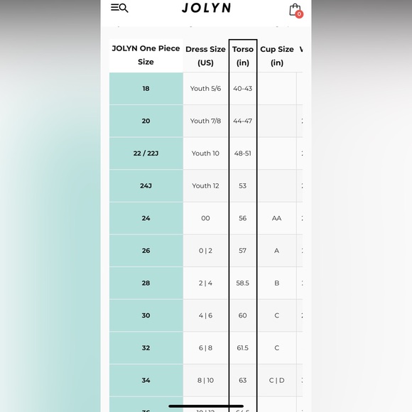 LIKE NEW Jolyn Kai One Piece - Picture 5 of 5